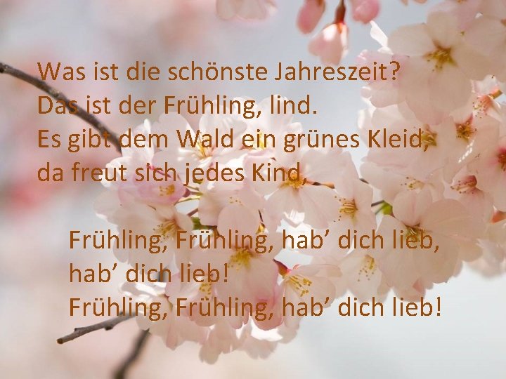 Was ist die schönste Jahreszeit? Das ist der Frühling, lind. Es gibt dem Wald