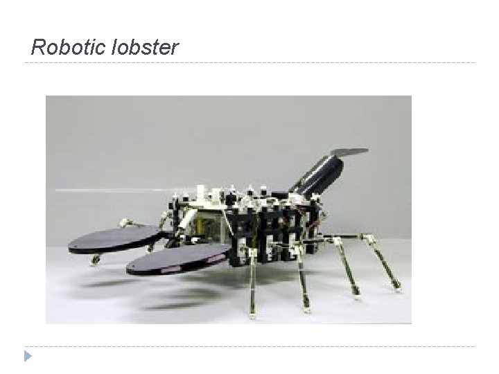 Robotic lobster 