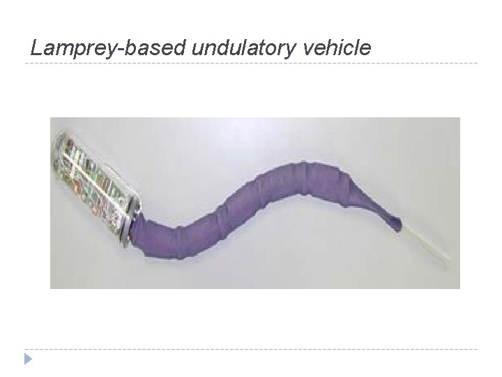 Lamprey-based undulatory vehicle 