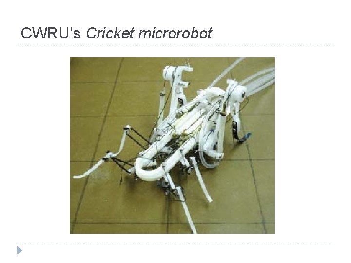 CWRU’s Cricket microrobot 