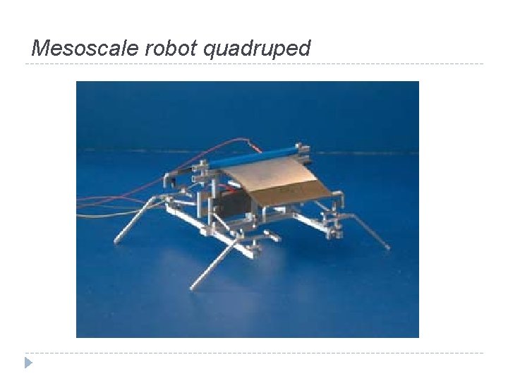 Mesoscale robot quadruped 