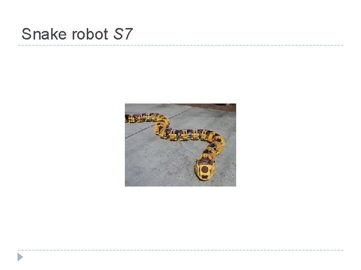 Snake robot S 7 