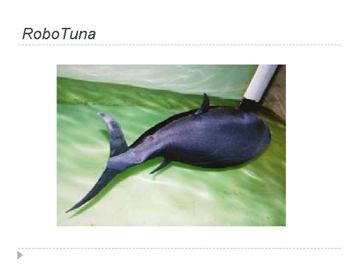 Robo. Tuna 