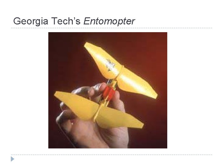 Georgia Tech’s Entomopter 