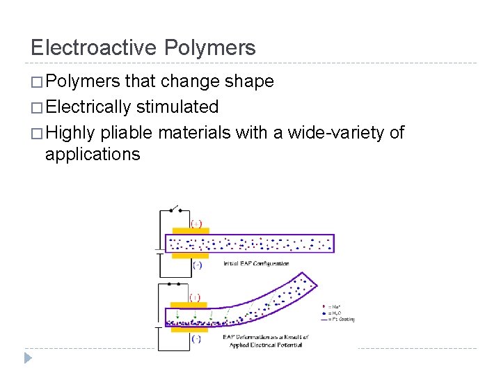 Electroactive Polymers � Polymers that change shape � Electrically stimulated � Highly pliable materials