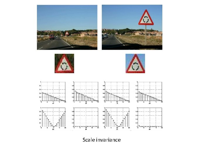 Scale invariance 