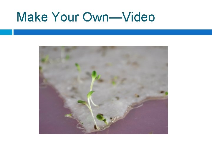 Make Your Own—Video 