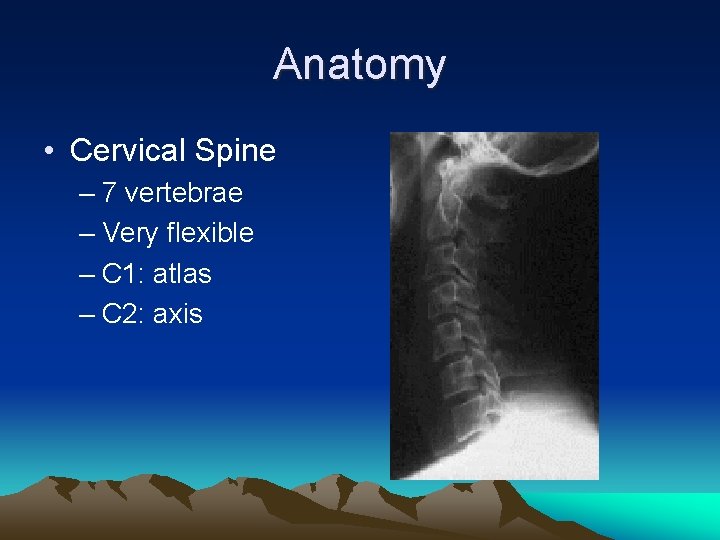 Anatomy • Cervical Spine – 7 vertebrae – Very flexible – C 1: atlas