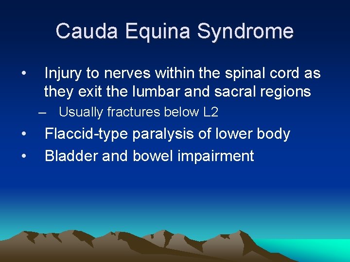 Cauda Equina Syndrome • Injury to nerves within the spinal cord as they exit