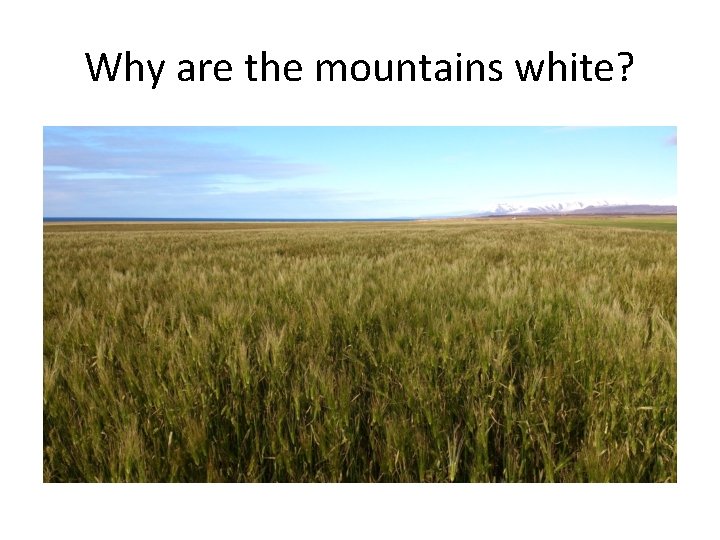 Why are the mountains white? 