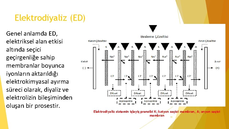 Elektrodiyaliz (ED) Genel anlamda ED, elektriksel alan etkisi altında seçici geçirgenliğe sahip membranlar boyunca