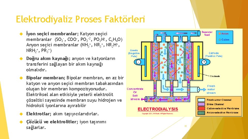 Elektrodiyaliz Proses Faktörleri İyon seçici membranlar; Katyon seçici membranlar (SO 3 -, COO-, PO