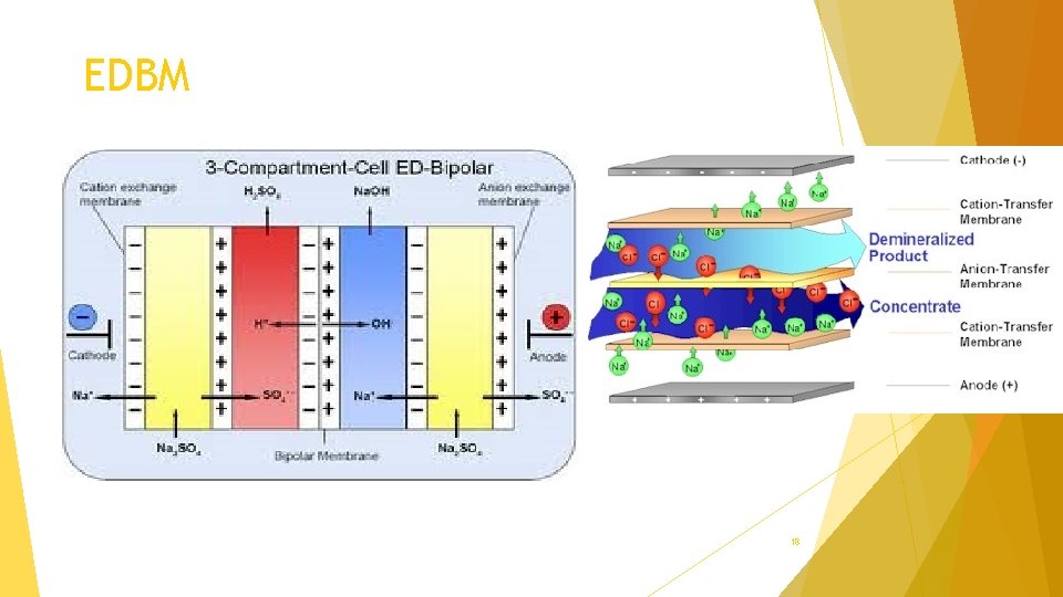 EDBM 18 