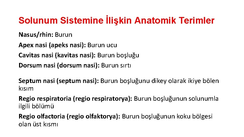 Solunum Sistemine İlişkin Anatomik Terimler Nasus/rhin: Burun Apex nasi (apeks nasi): Burun ucu Cavitas