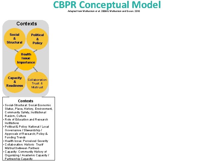 CBPR Conceptual Model Adapted from Wallerstein et al, 2008 & Wallerstein and Duran, 2010