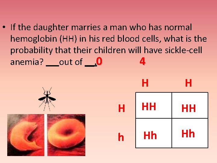 • If the daughter marries a man who has normal hemoglobin (HH) in
