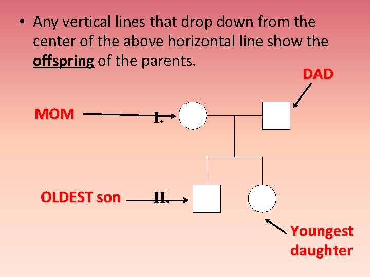  • Any vertical lines that drop down from the center of the above