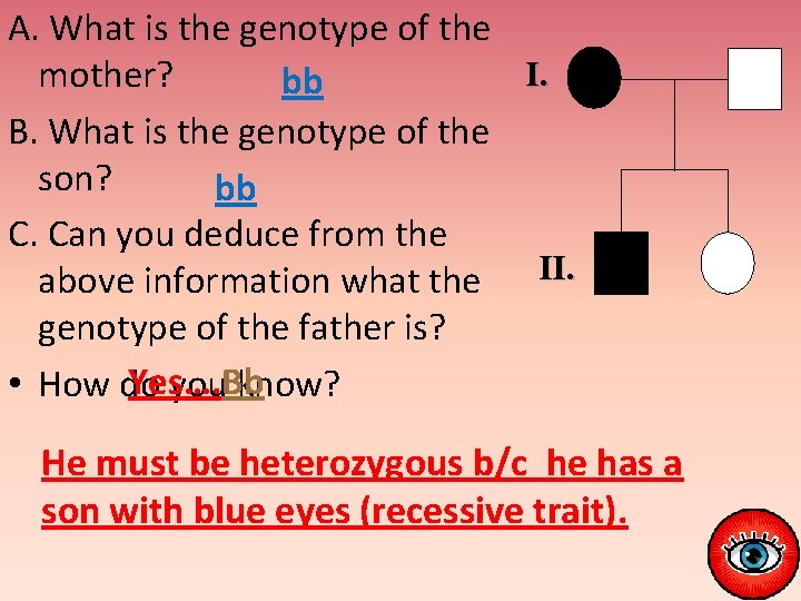 A. What is the genotype of the I. mother? bb B. What is the
