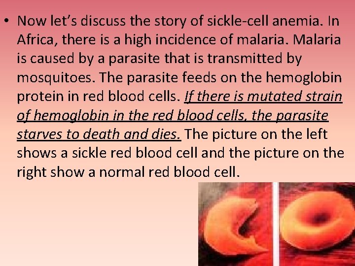  • Now let’s discuss the story of sickle-cell anemia. In Africa, there is
