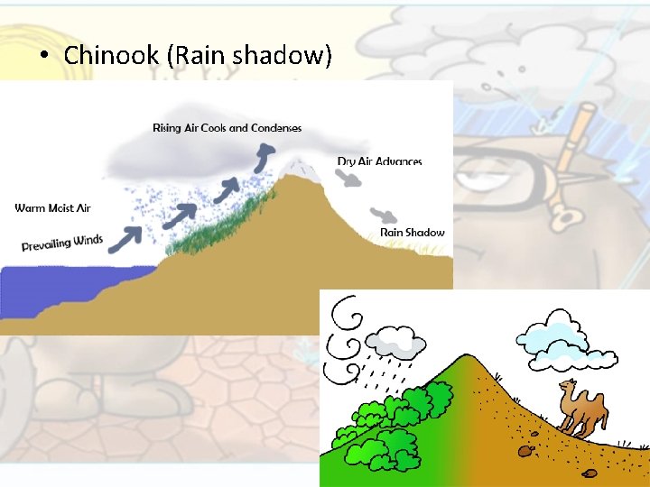 • Chinook (Rain shadow) 