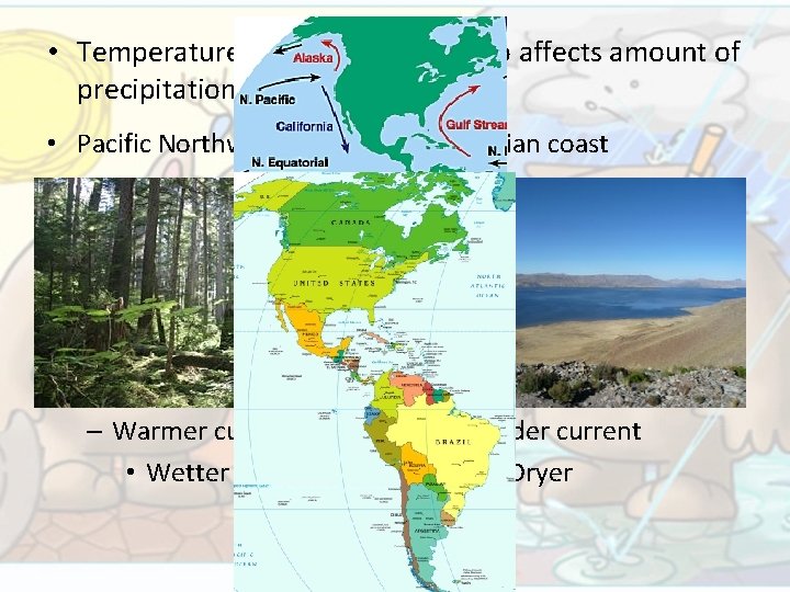  • Temperature of ocean current also affects amount of precipitation • Pacific Northwest