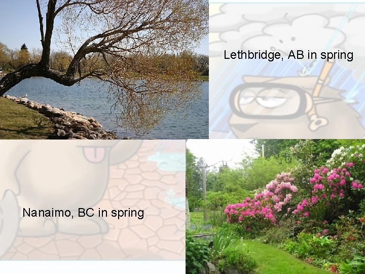 Lethbridge, AB in spring Nanaimo, BC in spring 