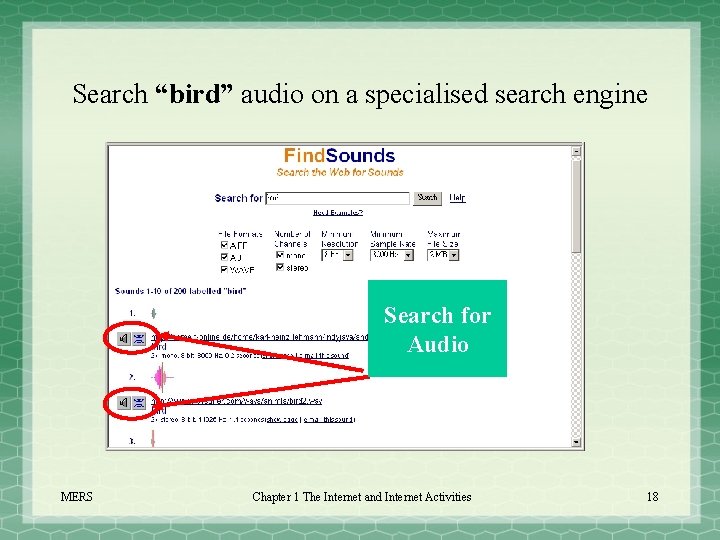 Search “bird” audio on a specialised search engine Search for Audio MERS Chapter 1