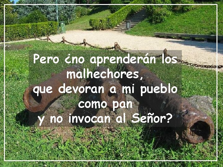 Pero ¿no aprenderán los malhechores, que devoran a mi pueblo como pan y no