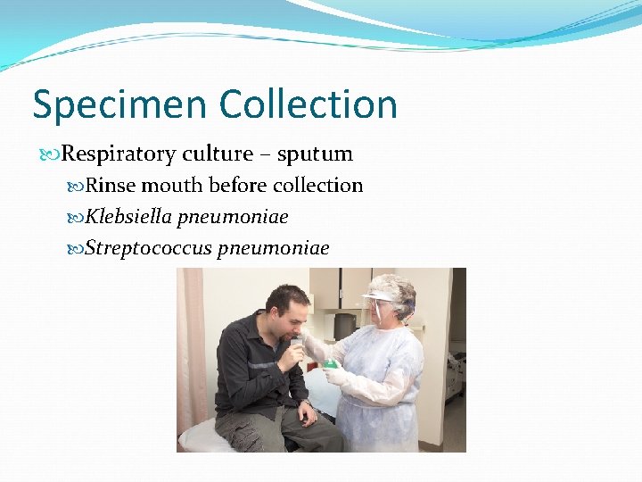Specimen Collection Respiratory culture – sputum Rinse mouth before collection Klebsiella pneumoniae Streptococcus pneumoniae