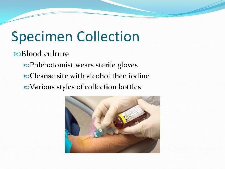 Specimen Collection Blood culture Phlebotomist wears sterile gloves Cleanse site with alcohol then iodine
