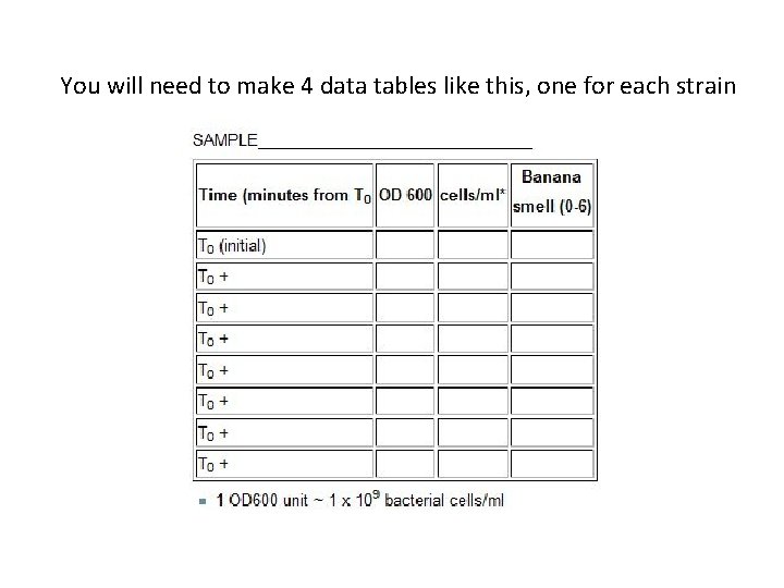 You will need to make 4 data tables like this, one for each strain