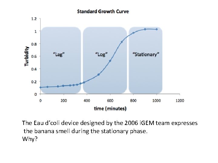 The Eau d’coli device designed by the 2006 i. GEM team expresses the banana