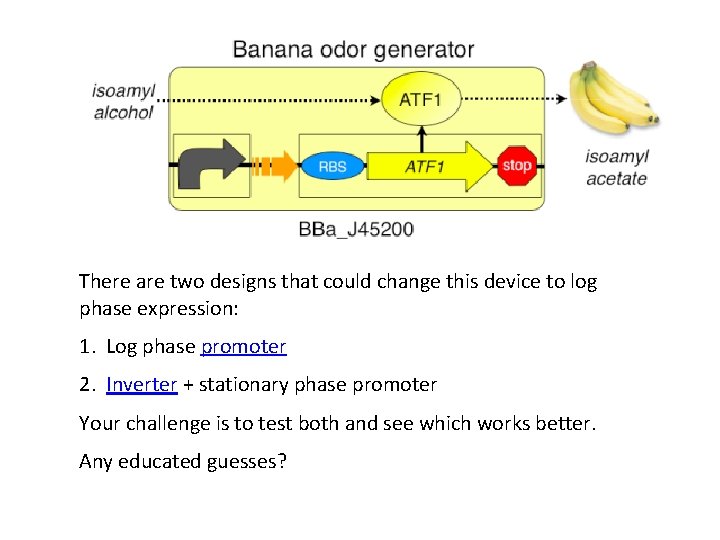 There are two designs that could change this device to log phase expression: 1.