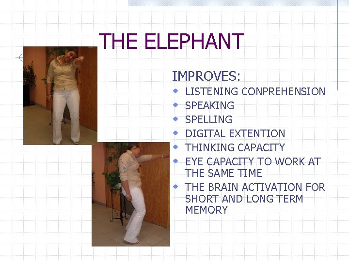 THE ELEPHANT IMPROVES: w w w LISTENING CONPREHENSION SPEAKING SPELLING DIGITAL EXTENTION THINKING CAPACITY