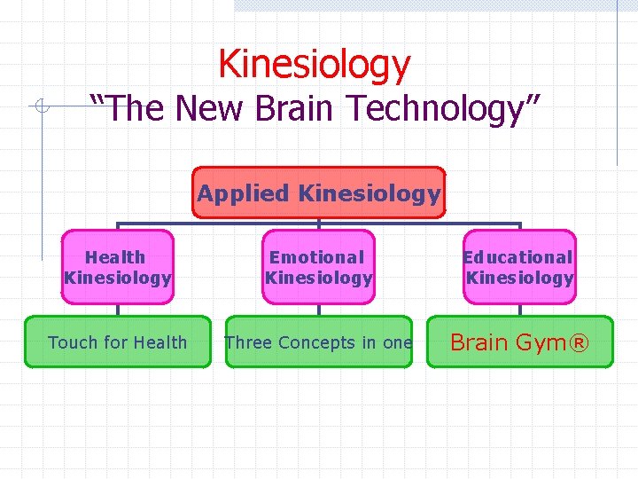 Kinesiology “The New Brain Technology” Applied Kinesiology Health Kinesiology Emotional Kinesiology Educational Kinesiology Touch