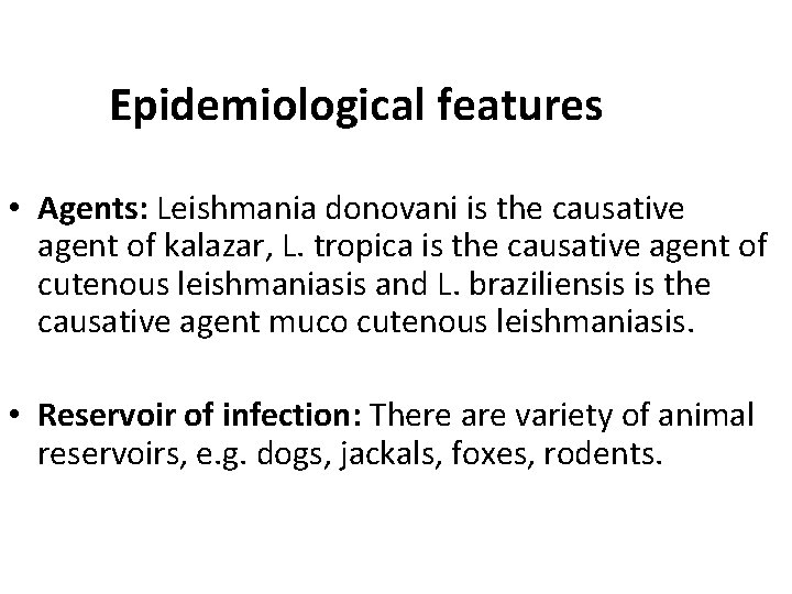 Epidemiological features • Agents: Leishmania donovani is the causative agent of kalazar, L. tropica