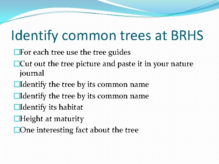 Identify common trees at BRHS �For each tree use the tree guides �Cut out