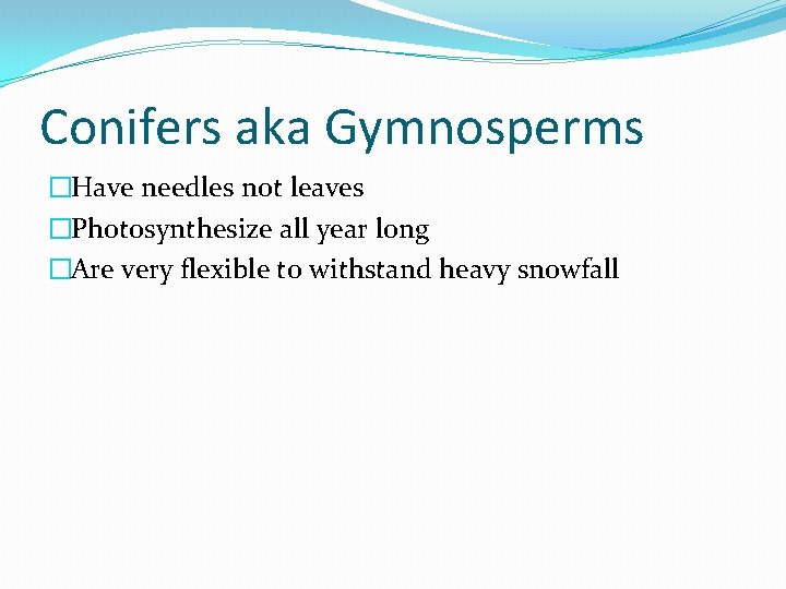 Conifers aka Gymnosperms �Have needles not leaves �Photosynthesize all year long �Are very flexible