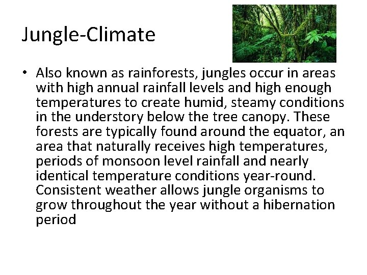 Jungle-Climate • Also known as rainforests, jungles occur in areas with high annual rainfall