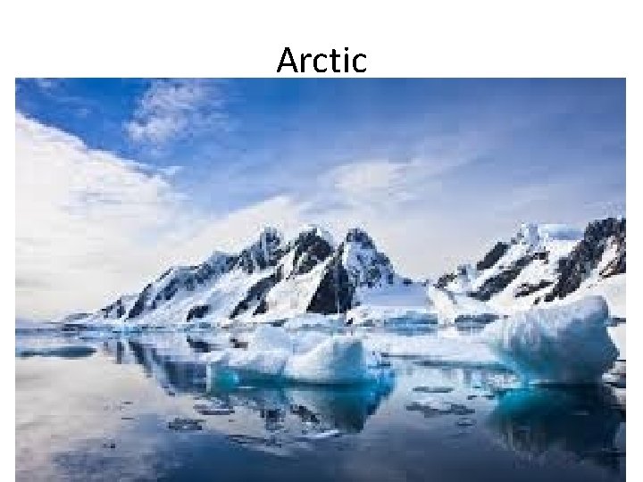 Arctic 