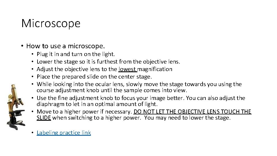 Microscope • How to use a microscope. Plug it in and turn on the