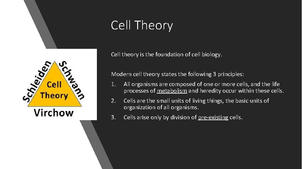 Cell Theory Cell theory is the foundation of cell biology. Modern cell theory states