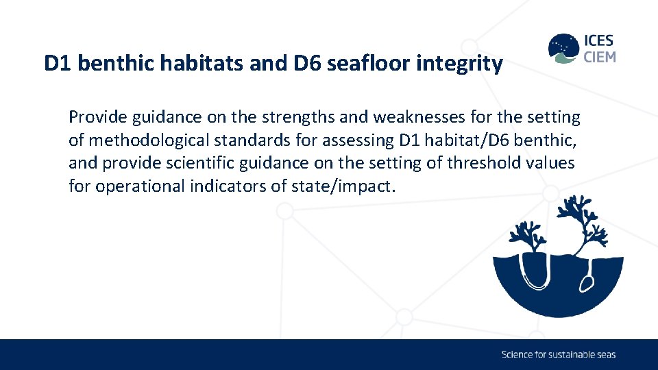 D 1 benthic habitats and D 6 seafloor integrity Provide guidance on the strengths