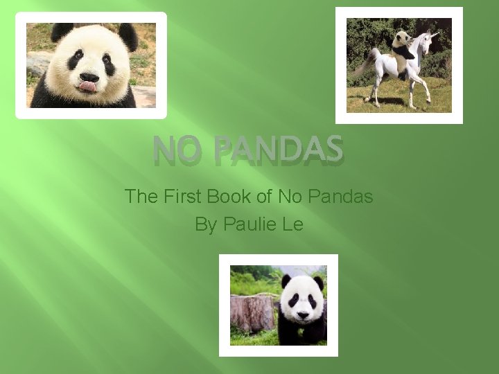 NO PANDAS The First Book of No Pandas By Paulie Le 