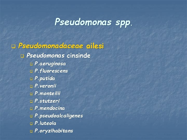 Pseudomonas spp. q Pseudomonadaceae ailesi q Pseudomonas cinsinde P. aeruginosa q P. fluorescens q