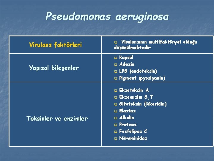 Pseudomonas aeruginosa Virulans faktörleri Virulansının multifaktöryel olduğu düşünülmektedir q q Yapısal bileşenler q q