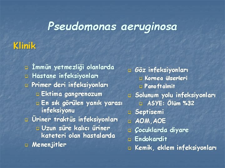 Pseudomonas aeruginosa Klinik q q q İmmün yetmezliği olanlarda Hastane infeksiyonları Primer deri infeksiyonları