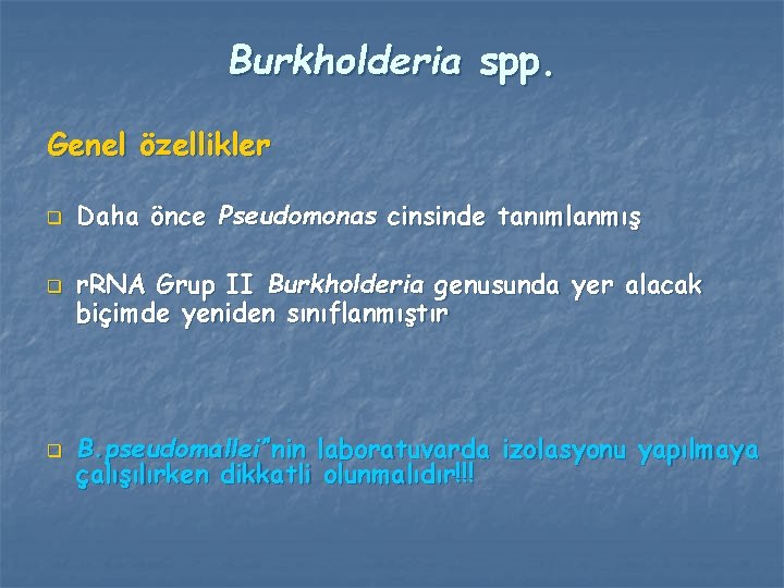 Burkholderia spp. Genel özellikler q q q Daha önce Pseudomonas cinsinde tanımlanmış r. RNA