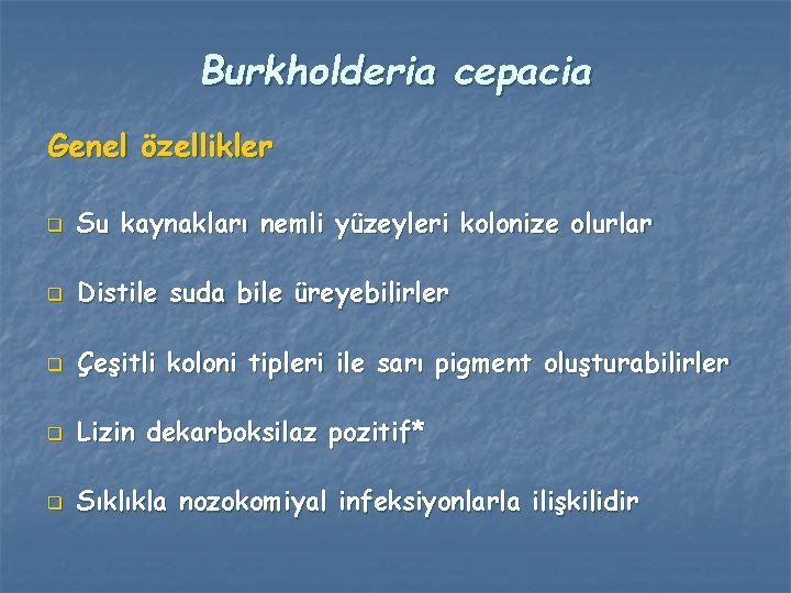 Burkholderia cepacia Genel özellikler q Su kaynakları nemli yüzeyleri kolonize olurlar q Distile suda