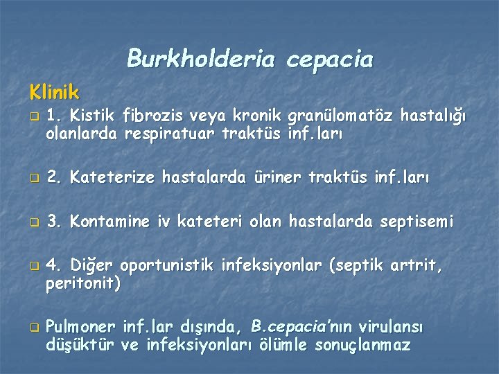 Burkholderia cepacia Klinik q 1. Kistik fibrozis veya kronik granülomatöz hastalığı olanlarda respiratuar traktüs